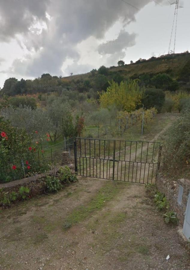 Villa Ulivella Schifoni Exterior photo